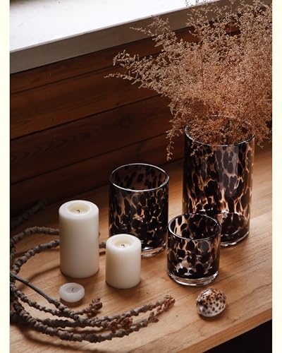 Clear Glass Hurricane Candle Holder Set with Black Tortoise Pattern - 3 Piece