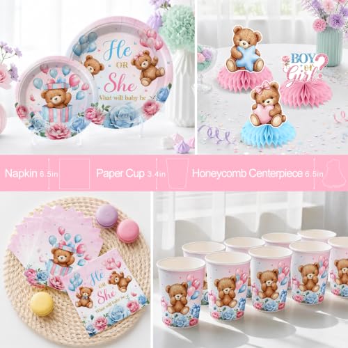 Brown Bear Gender Reveal Decorations Tableware Set - 205pcs for 25 Guests