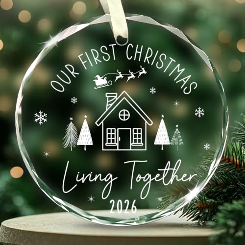 Our First Christmas Living Together Glass Ornament - Chris2026