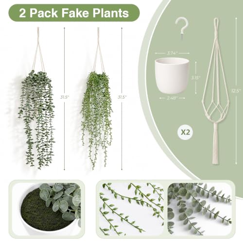 Artificial Hanging Plants Set with Macrame Plant Hangers - 2 Pack