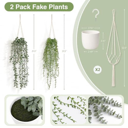 Artificial Hanging Plants Set with Macrame Plant Hangers - 2 Pack