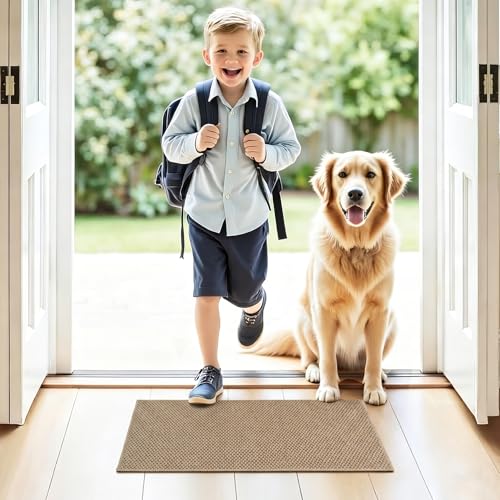 Godehone Brown Entryway Doormat - 14.6 x 24 Inches Ultra Thin Low Profile