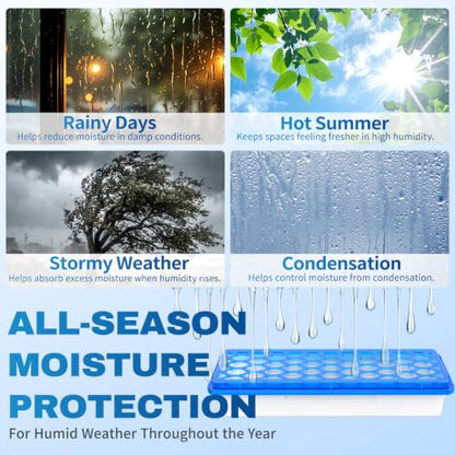Vacplus Moisture Absorbers 500mL Large Capacity Dehumidifier Pack of 6 - Slim Design