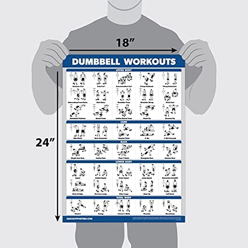 Palace Learning QuickFit Dumbbell & Kettlebell Exercise Poster Set - Laminated 2 Chart Set (18" x 24")
