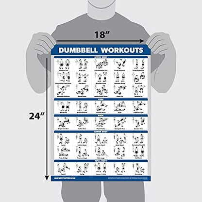 Palace Learning QuickFit Dumbbell & Kettlebell Exercise Poster Set - Laminated 2 Chart Set (18" x 24")