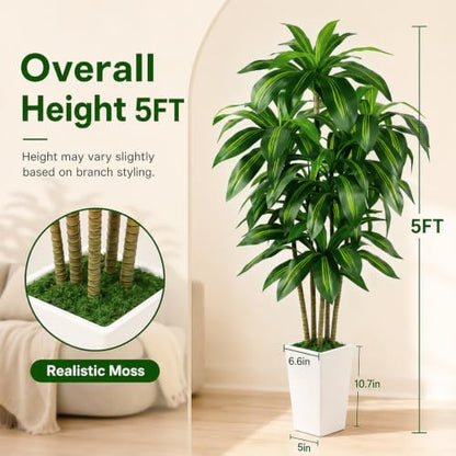 Artificial Dracaena Tree Indoor 5FT with Tall Planter - Realistic Faux Plant