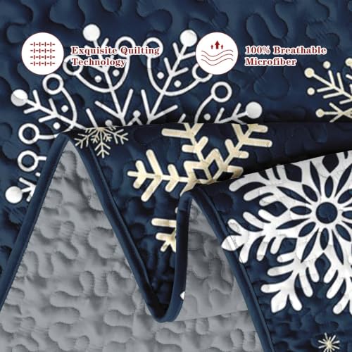 Queen Snowflake Quilt Set - Winter Christmas Bedding 3 Pieces