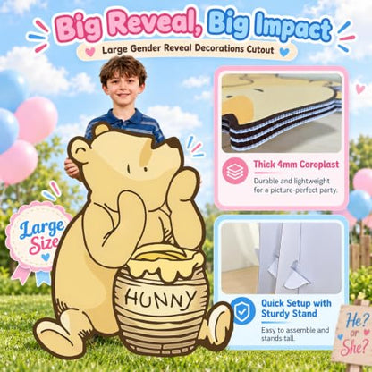 Large Winnie Bear Gender Reveal Decorations Cutout - 27.5 Inch