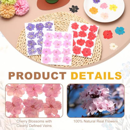 Pressed Dried Flowers for Crafts - Dark Pink Cherry Blossom, 12 Pcs