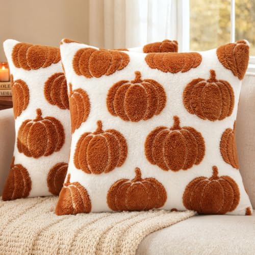 Fall Pumpkin Pillow Covers Set of 2 - 18x18 Rust Harvest Decor
