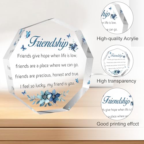 Friendship Acrylic Sign Plaque - Best Friend Gift for Women Men Christmas Birthday