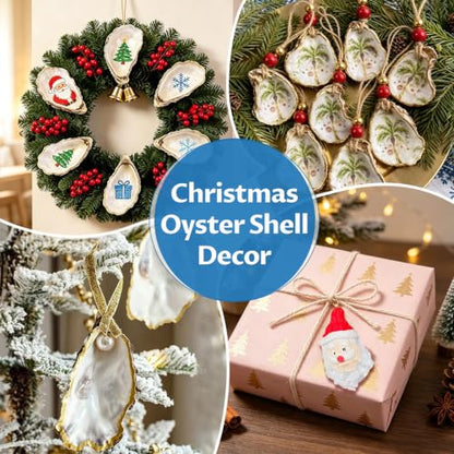 10PCS Natural Concave Oyster Shells for Crafts, Decor & DIY Projects - 3-4 Inch