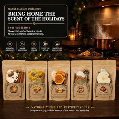 Christmas Simmer Pot Kit - 5 Pack Bakery Scented Potpourri with Dried Fruits & Spices - Cozy Home Fragrance