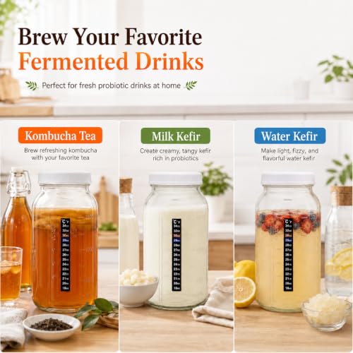 64 oz Kefir Starter Kit with Glass Fermentation Jar & Strainer