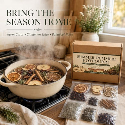 Simmer Pot Potpourri with Dried Citrus & Spices - Orange Variation