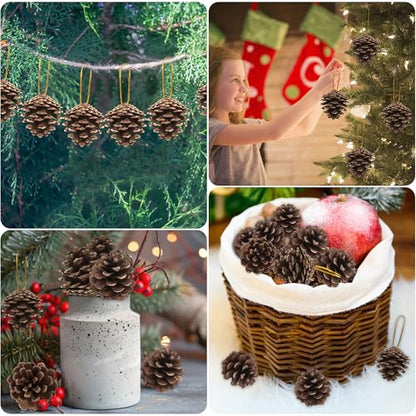 50 Pack Natural Pine Cones for Crafts and Holiday Decor - 1.96 Inches with Gold String - Rustic Christmas Ornaments & Table Decorations
