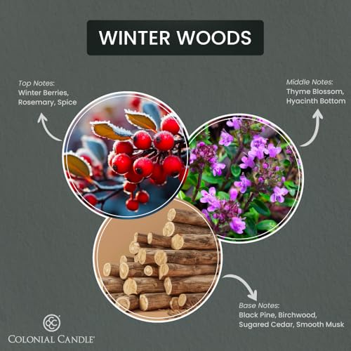 Winter Woods Scented Candle - 14.5 oz Green Jar, 3 Wicks, Holiday Fragrance - Variation of THIS listing