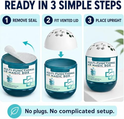 Passive Air Purifier with Natural Plant Extracts for Dust Odor Removal