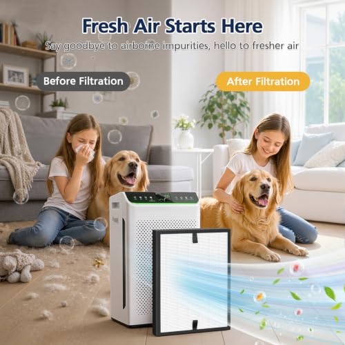 Replacement Air Purifier Filter for Ecoself HAP610WF - Black Variation