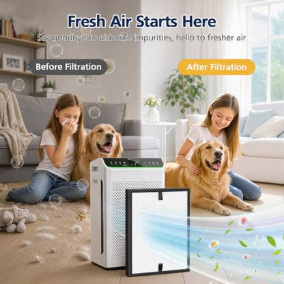 Replacement Air Purifier Filter for Ecoself HAP610WF - Black Variation