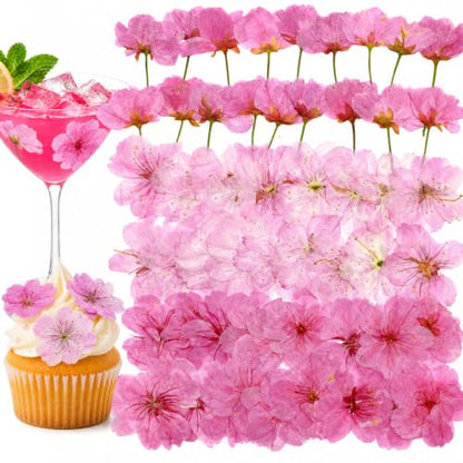 Pressed Edible Cherry Blossom Flowers for Cakes & Cocktails - 54 PCS