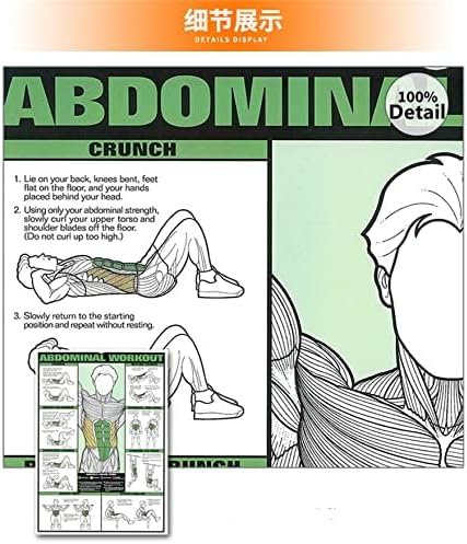 Skiennix 6PCS Workout Chart Posters - Motivational Gym Decor for Home | Fitness Exercise Charts for Triceps, Shoulders, Legs, Back, Chest, Abs