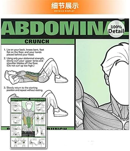 Skiennix 6PCS Workout Chart Posters - Motivational Gym Decor for Home | Fitness Exercise Charts for Triceps, Shoulders, Legs, Back, Chest, Abs