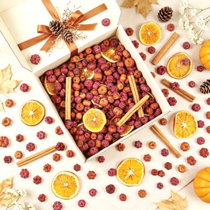 Mini Dried Pumpkin Pods Set with Orange Slices & Cinnamon Sticks Fall Decor