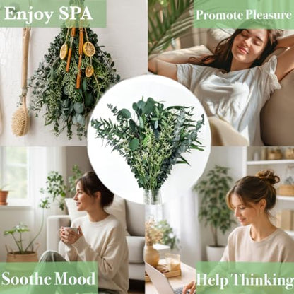 Preserved Eucalyptus & Statice Flower Bundle for Home Decor & Aromatherapy