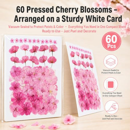Edible Dried Flower Garnishes for Cakes Drinks & Crafts - 60 Pcs
