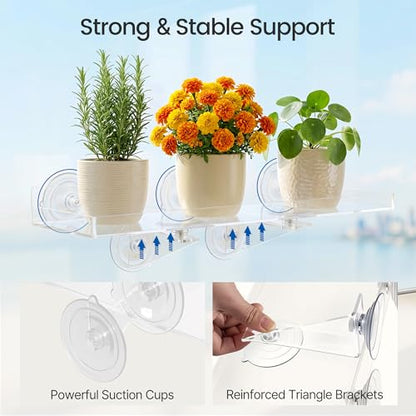 15.7 x 5.9 Inch Heavy Duty Suction Cup Window Plant Shelf - 2 Pack
