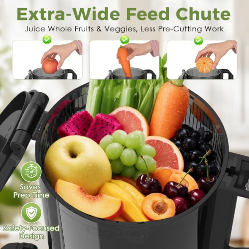 Cold Press Juicer Masticating Slow Juicer with Dual Collection Cups