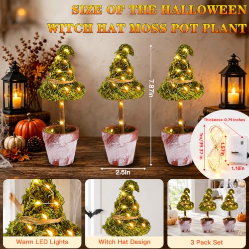 Halloween Witch Hat Topiary Plant Decor with LED Lights - 3 Pieces, Woodland Style