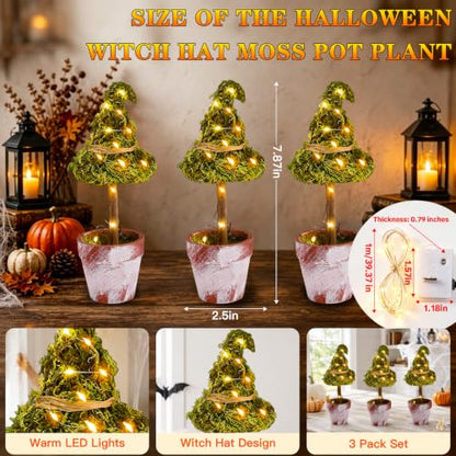 Halloween Witch Hat Topiary Plant Decor with LED Lights - 3 Pieces, Woodland Style