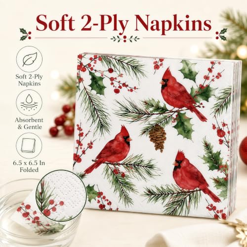 Christmas Paper Plates and Napkins Set - Cardinal Holiday Design - 50 Pieces