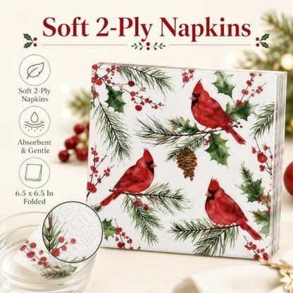 Christmas Paper Plates and Napkins Set - Cardinal Holiday Design - 50 Pieces