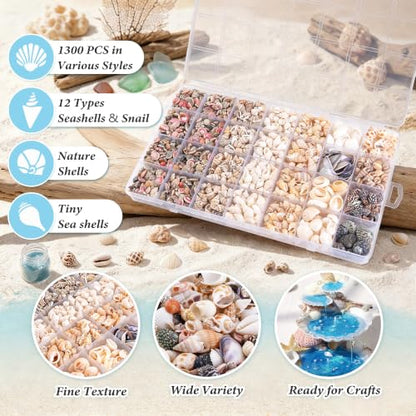 Colorful Small Seashells for Crafts - Natural Mini Ocean Shells, 1300 Pcs