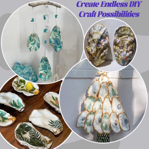 Natural Flat Oyster Shells 4-6 Inches for Crafts and Decor - Set of 20