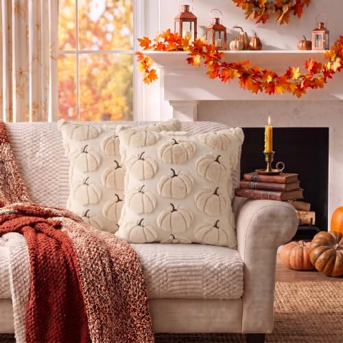 Fall Pumpkin Pillow Covers 18x18 Set of 2 Beige - Seasonal Decor