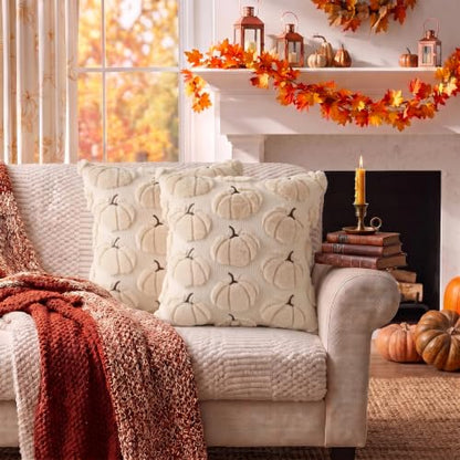 Fall Pumpkin Pillow Covers 18x18 Set of 2 Beige - Seasonal Decor