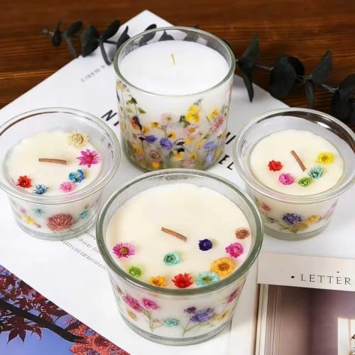 580Pcs Mini Dried Flowers for Resin - Small Pressed Flowers for DIY Crafts - Vibrant Colors