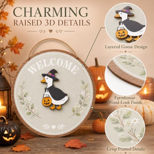 Welcome Goose Interchangeable Door Sign for Front Door Decor - Seasonal Farmhouse Welcome Sign - Variation of THIS listing