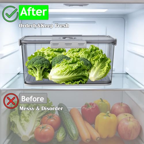Clear Bread Box with Lid and Time Recording - Grey Food Storage Container