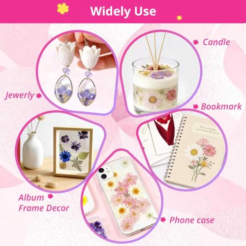 580Pcs Mini Dried Flowers for Resin - Small Pressed Flowers for DIY Crafts - Vibrant Colors