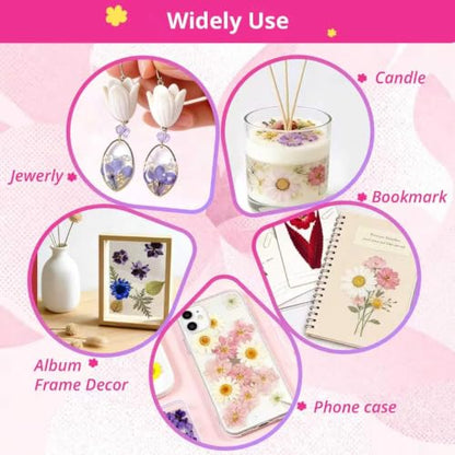580Pcs Mini Dried Flowers for Resin - Small Pressed Flowers for DIY Crafts - Vibrant Colors