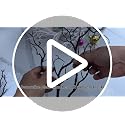 Artificial Coral Branches Set - 13.8 Inch White 10PCS for Decor & Craft (Variation: White 10pcs)