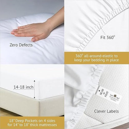 Bluemoon Homes Egyptian Cotton Sheets Queen Size 4 Piece Sheet Set - All Around Elastic 18" Deep Fitted Sheet, Extra Soft & Best Bed Sheets - Natural White Queen Bedding Set