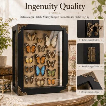 Rustic Black Deep Shadow Box Display Case - 11x15 Inch 3-Sided Glass