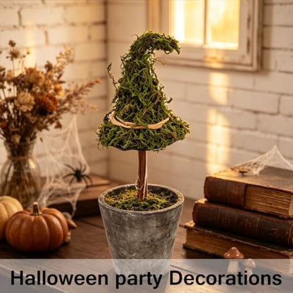 Grey Halloween Witch Hat Topiary Plant with Pot - Artificial Moss Decor