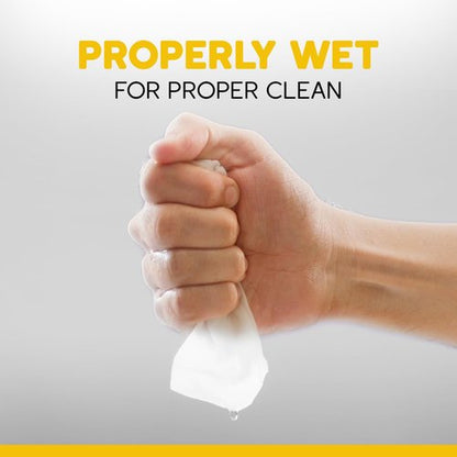 JYJZ - Flushable Wet Wipes, 6 Pack (288 Wipes), New & Improved Lemon Fresh, Disposable, Biodegradable, XL, Aloe & Vitamin-E, Marine Life Friendly, Utterly Smooth, Bespoke Freshness, Irresistible!
